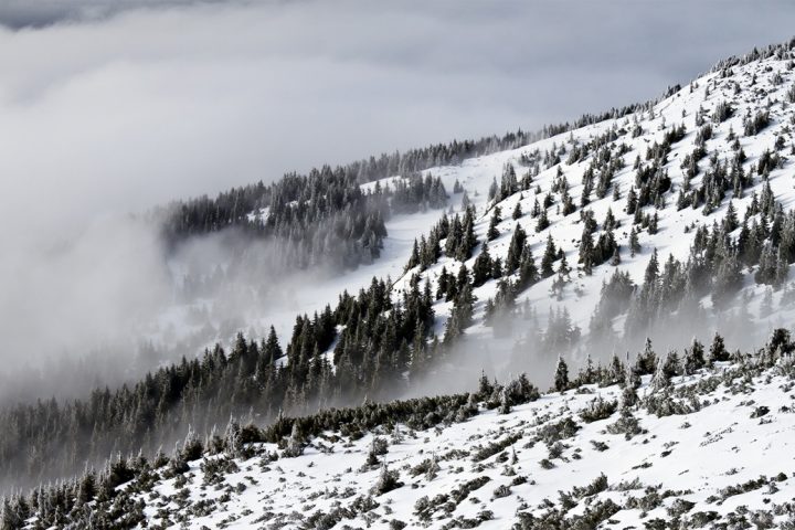 Eksempel på bilder i artikkel